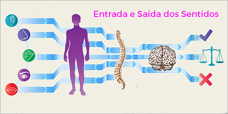 Processamento sensorial